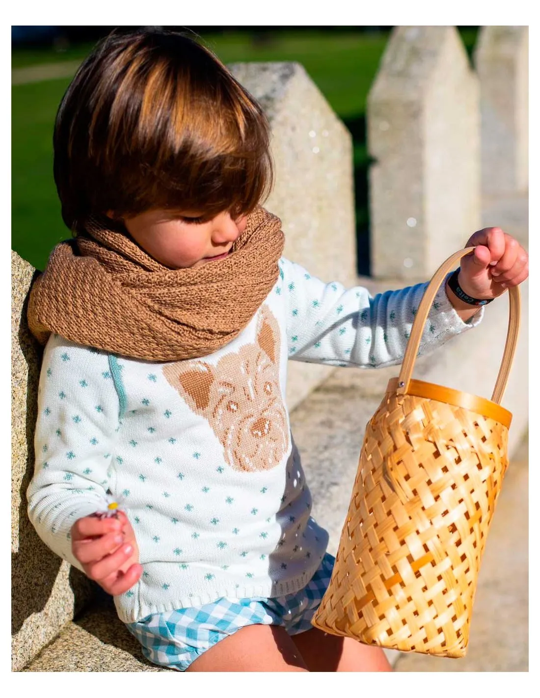 Jersey Niño Perro Colección Toyle La Martinica Moda Infantil