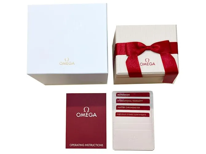 Reloj unisex Omega Seamaster Planet Ocean 600m 215.18.40.20.01.001 en acero inoxidable Plata Metálico 
