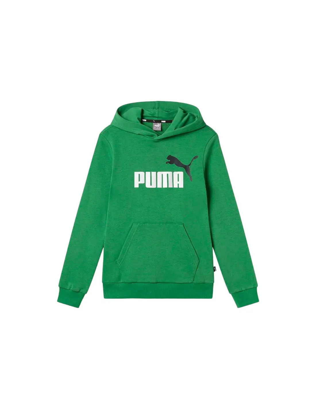 Sudadera Puma Essentials+ 2 Col Big Verde Infantil