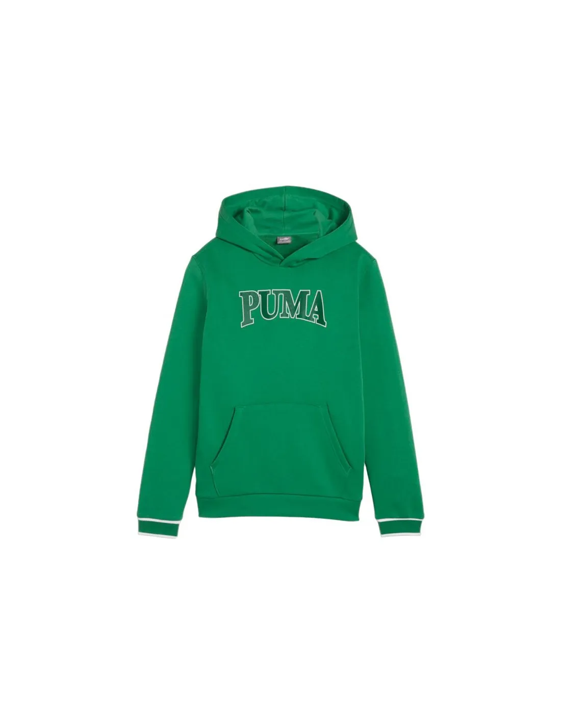 Sudadera Puma QUAD Archive Gree Infantil