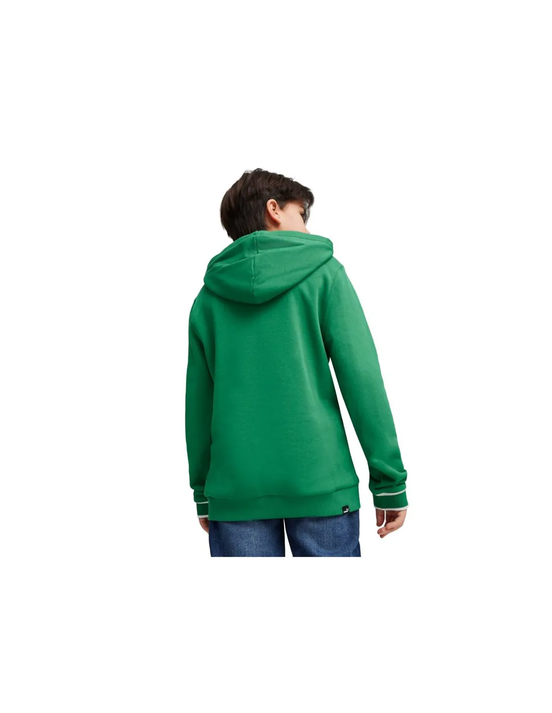 Sudadera Puma QUAD Archive Gree Infantil