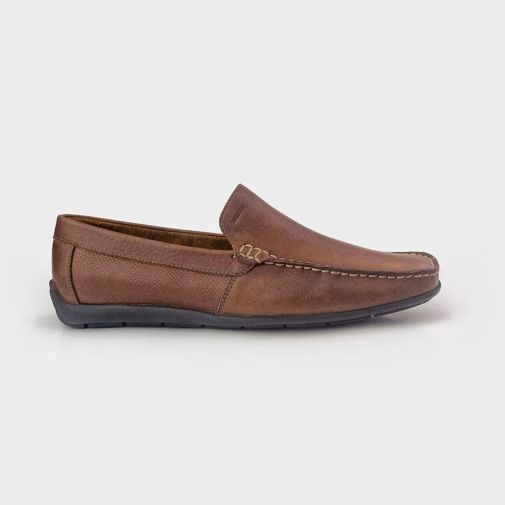Zapatillas  Dauss Urbanas Hombre 1203A Marrón