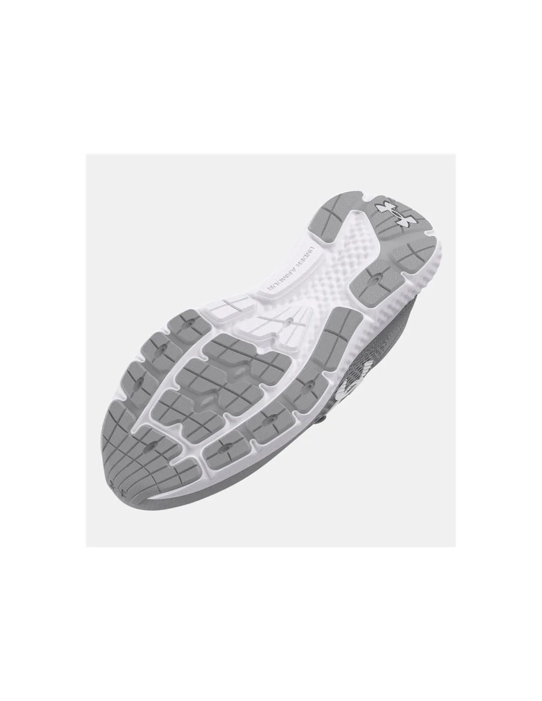 Zapatillas de Running Under Armour Charged Rogue 4 Hombre Gris
