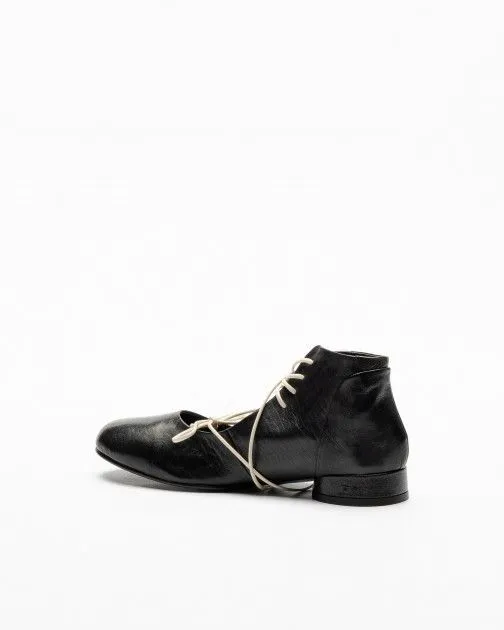 Zapatos Ernesto Dolani 6DGAL07 Negro